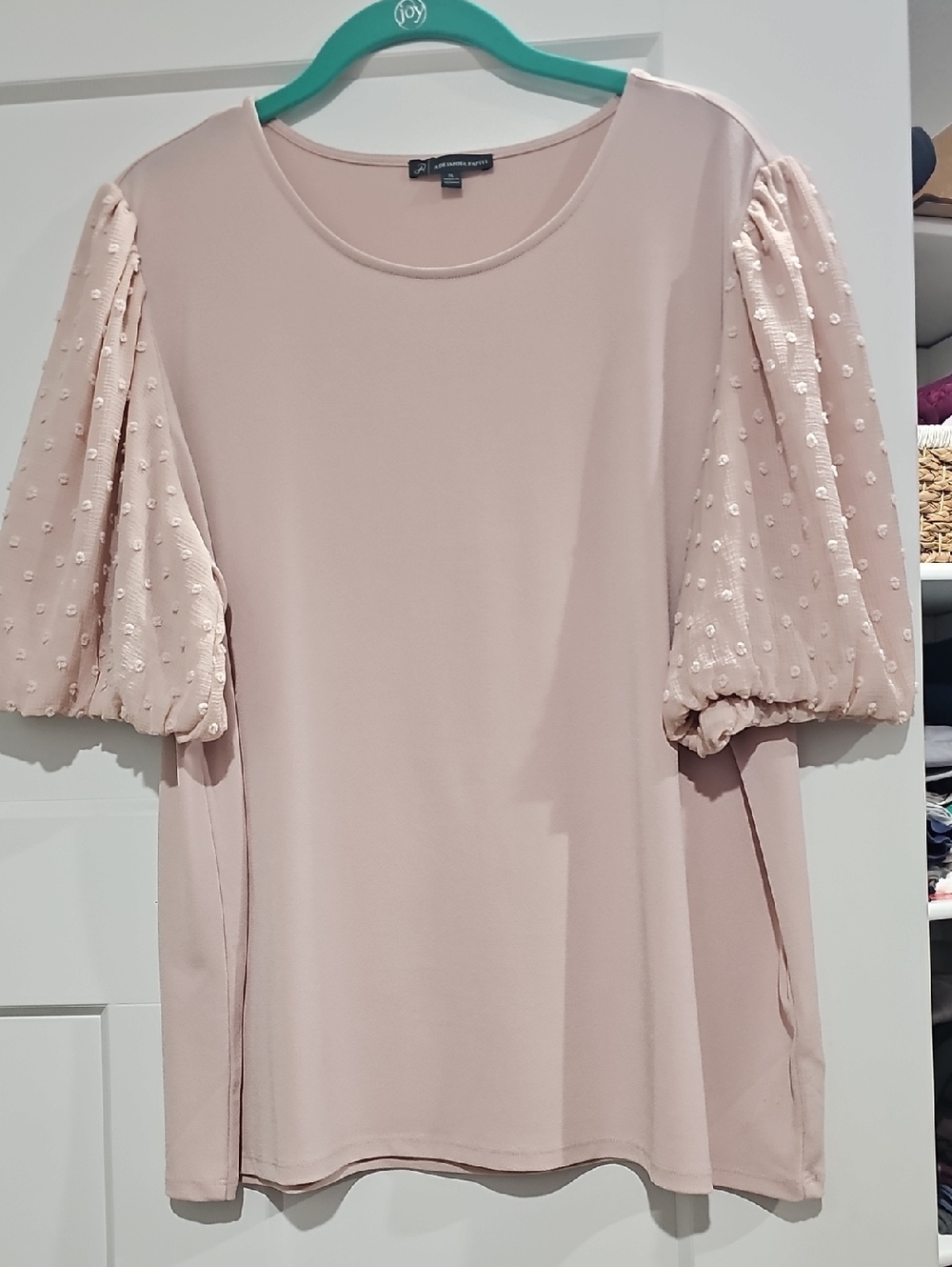 Adrianna Papell Blush Pink Puff Sleeve Blouse